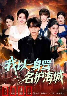 我以一身骂名护海城：孤胆忠魂