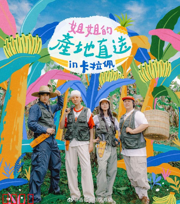 姐姐家的产地直送3：亲情回归