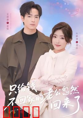 只给钱不回家的老公忽然回来了：豪门丈夫的意外归来