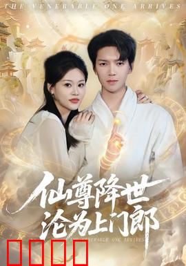 仙尊降世沦为上门郎：赘婿逆袭