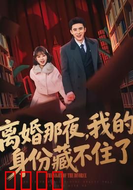 离婚那夜，我的身份藏不住了：隐婚女总裁