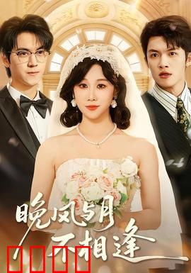 晚风与月不相逢：错失的月光