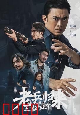 老兵归来之当打之年：铁血复仇