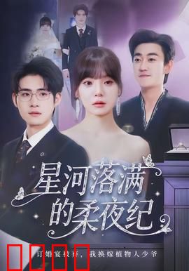 星河落满的柔夜纪：星际恋曲