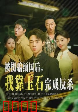 被拐骗缅国后，我靠玉石完成反杀：玉石逆袭