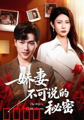 娇妻不可说的秘密：床底下的日记