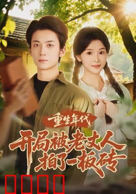 重生年代开局被老丈人拍了一板砖：逆袭致富