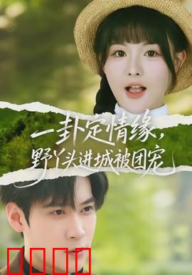 一卦定情缘，野丫头进城被团宠：逆袭豪门