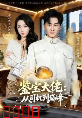 鉴宝大佬：古董局中局