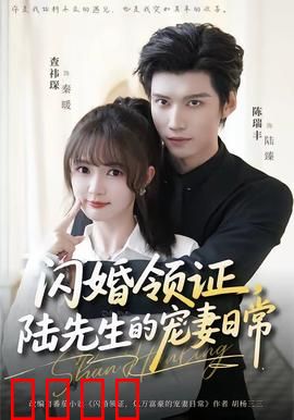 闪婚领证，陆先生的宠妻日常：蜜恋甜宠剧