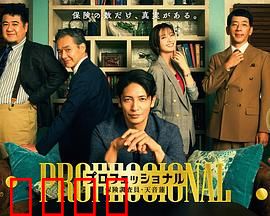 专业人士：特工复仇记