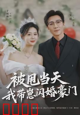 被甩当天我带崽闪婚豪门：豪门老公宠上天
