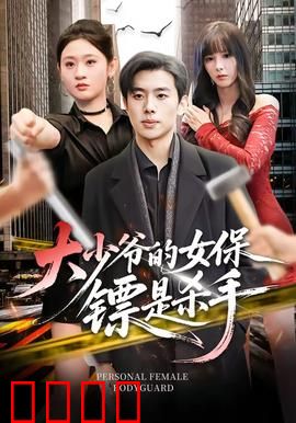 大少爷的女保镖是杀手：暗夜守护