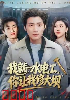 我就一水电工，你让我修大坝：菜鸟救大坝