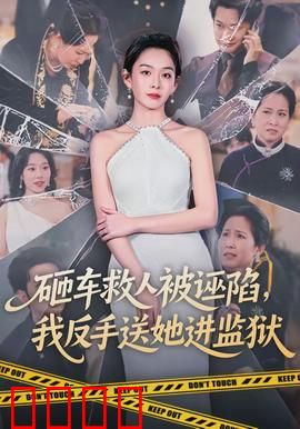 砸车救人被诬陷，我反手送她进监狱：反杀太解气