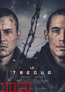 休战：漫长的归途