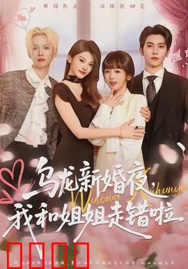 乌龙新婚夜，我和姐姐走错啦：爆笑误会情缘