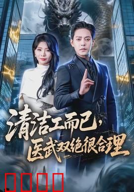 清洁工而已，医武双绝很合理：逆袭传奇