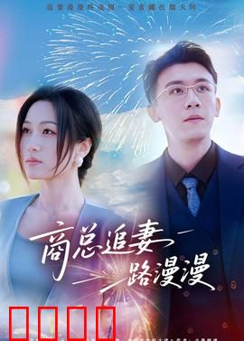 商总追妻路漫漫：追妻火葬场