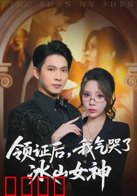 领证后，我气哭了冰山女神：霸总追妻火葬场