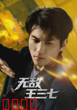 无敌王三七：平凡英雄崛起