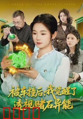 被车撞后，我觉醒了透视赌石异能了：赌石之王