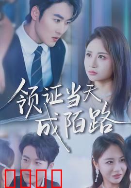 领证当天成陌路：爱恨交加的一刻