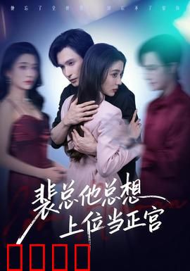 裴总他总上位当正宫：逆袭之路