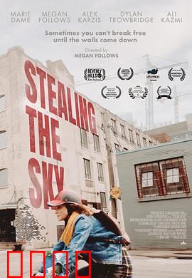 窃取天空：苍穹之盗