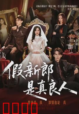 假新郎是真良人：替嫁奇缘
