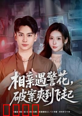 相亲遇警花，破案爽到飞起：爆笑破案