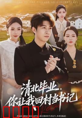 清北毕业，你让我回村当书记：第一书记的逆袭