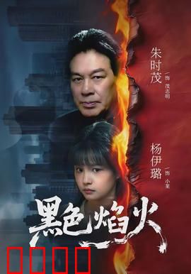 黑色焰火：暗夜复仇