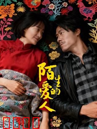 陌生的爱人：失忆后的重逢