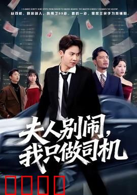 夫人别闹我只做司机：甜蜜搞笑的契约婚姻