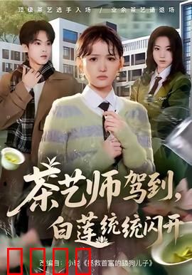 茶艺师驾到白莲统统闪开：手撕绿茶婊