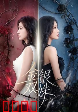 金银双姝：姐妹复仇记