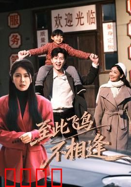 到此飞鸟不相逢：空巢之殇