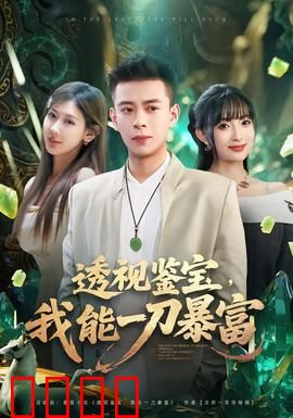 透视鉴宝，我能一刀暴富：奇迹人生