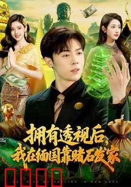 拥有透视后，我在缅国靠赌石发家：赌石界无敌手