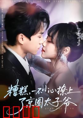 糟糕，一不小心撩上了京圈太子爷：甜宠逆袭之路
