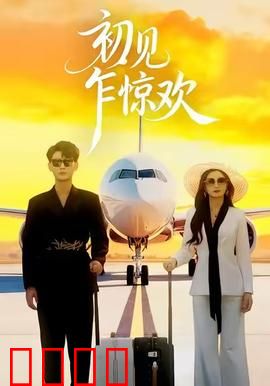 初见乍惊欢：电梯邂逅的奇缘