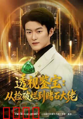 透视鉴宝：慧眼识真伪