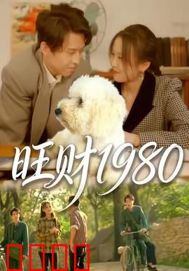 旺财1980：命运转折