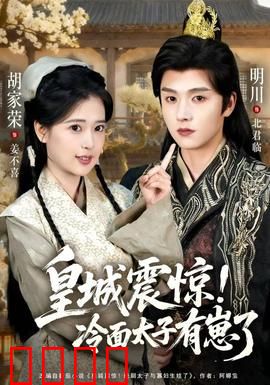 皇城震惊冷面太子有崽了：一夜当爹