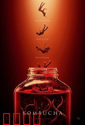 康普茶：一杯的传承