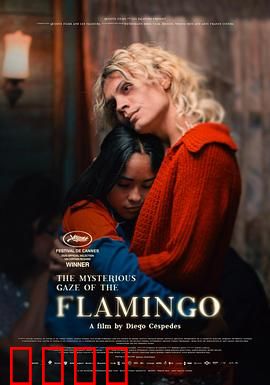 弗拉明戈的神秘眼神：禁忌之舞