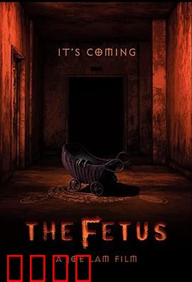 胎儿：孕中谜案