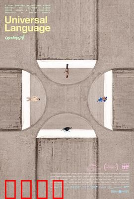 共同的语言：无声的共鸣