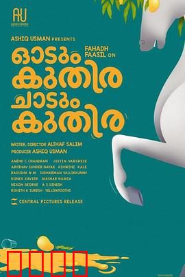 一匹马奔跑，一匹马跳跃：命运交织